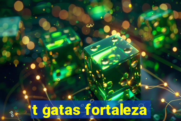 t gatas fortaleza